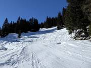 Varianti sulla pista nera Tröglipiste