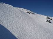 Ripide discese nella Whistler Bowl