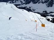 Innevamento con lance ad Adelboden