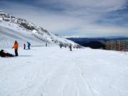 Campo scuola Baby 1 (Kellaria 1950)