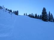 Pista nera Lärchenhang