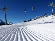 Ottima preparazione delle piste