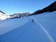 Pista da fondo a Weißenbach