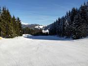 Facile discesa a valle verso Radstadt