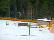 Babylift Geissleinpark I - Manovia/Babylift a fune bassa