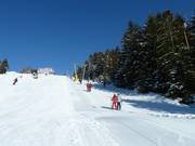 Sicuro utilizzo degli impianti di risalita anche per i più piccoli