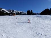 Pista principianti Rosenalm/Plattenangerlift (Zell am Ziller)