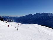 Pista Goldener Pflug