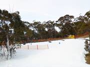 Area di esercitazione The Magic Forest presso Bourke Street