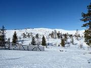 Vista dalle piste Front Slopes verso la cima Levi