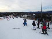 Pista pratica presso il Bourke Street Carpet