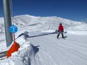 Pista facile Kircherlhang