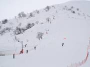 Coq de Bruyères - Skilift a piattello