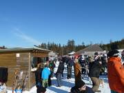 Allegra compagnia al chiosco