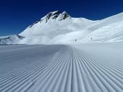 Fresche tracce nella neve