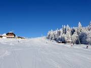 Pista facile presso lo skilift Almwiesenlift