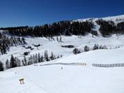 Piste tra Grosseck e Speiereck