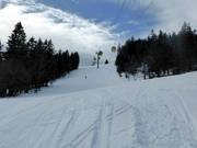 Pista da slalom di media difficoltà