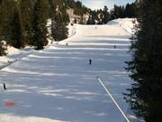 Discese nel bosco innevate artificialmente