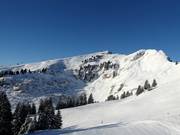 Vista sulle discese freeride al Grand Chamossaire (Villars)