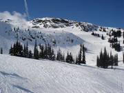 Rocce, canaloni e spazi sciistici liberi