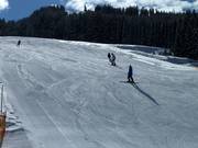 Pista per principianti presso lo skilift Liebenaulift