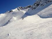 Discesa B-Russi-Run dal Gemsstock