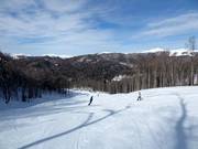 Pista n. 16 Kolašin 1600