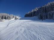 Ampia pista facile presso la parte superiore dell'Almkopf