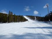 Discesa Coppa del Mondo G.2