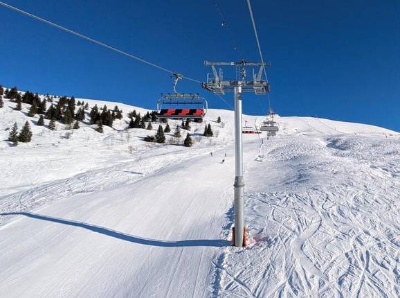 Douce - © Michael Medek - Foto Michael Medek