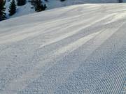 Si presta attenzione a una buona preparazione delle piste