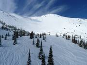 Zona di neve fresca sotto il Gravenstafel Mountain