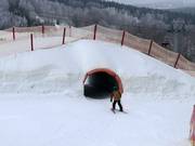 Suggerimento per i più piccoli 