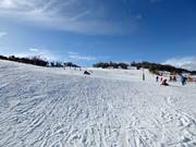 Pista facile Woodrun