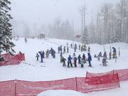 Suggerimento per i più piccoli 