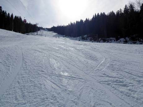 Preparazione delle piste Bosnia ed Erzegovina – Preparazione delle piste Ravna Planina