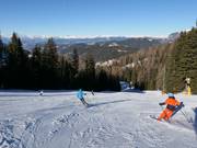 Discesa a valle Ochsenweide