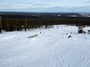 Mountain Dew Junior Park