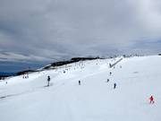 Vista sul Skyline Park