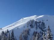 Itinerario sciistico innevato e preparato Osthang presso Hauser Kaibling