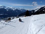 Suggerimento per i più piccoli  - Piste per slittini