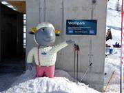 Suggerimento per i più piccoli 