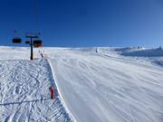 Ampia pista Zirmes sopra il limite degli alberi