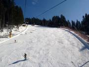 Pista Raut-Vierschach