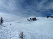 Spazio sciistico libero