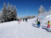 Pista di collegamento al Pleßberg (Plešivec)