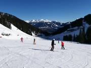 Piste facili nella valle di Horberg