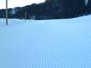 Ottima preparazione delle piste