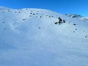 Zona di neve fresca presso la seggiovia Knob Chair